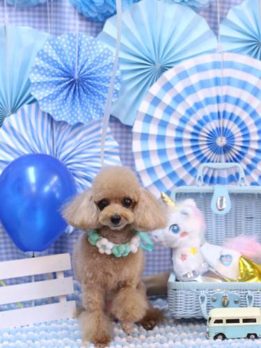 20231121ココちゃん